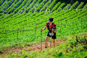 BIB: 
                            <button type="button" onclick="openModal(19163245)" class="btn btn-primary btn-sm float-right btn-popup" data-toggle="modal" data-target=".modal-high-quality">
                        <i class="fas fa-shopping-cart"></i> Add to Cart
                    </button>
                                            <button type="button" onclick="isThisMe(19163245, true)" class="btn btn-success btn-sm float-right btn-popup btn-isme hidden" data-toggle="tooltip" data-placement="bottom" title="นี่คือรูปของคุณใช่ไหม คลิกที่นี่เพื่อเอาเข้าอัลบั้ม">
                        <i class="fas fa-plus"></i> Add to album
                    </button>
                    <button type="button" onclick="isThisMe(19163245, false)" class="btn btn-warning btn-sm float-right btn-popup btn-isnotme hidden">
                        <i class="fas fa-ban"></i> Remove from album
                    </button>